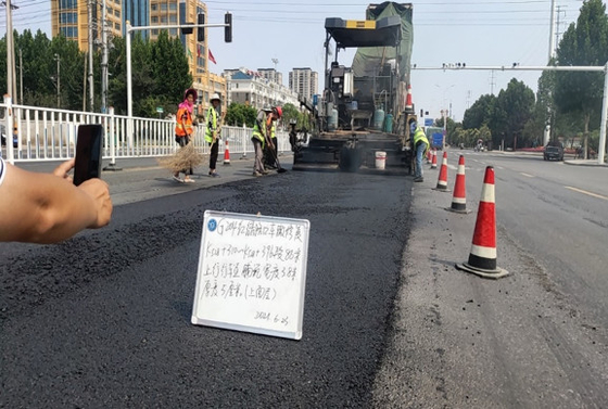 Additivo anti Ruttings di Asphalt Modifiers Concrete Anti Crack della pavimentazione di traffico dell'onere gravoso